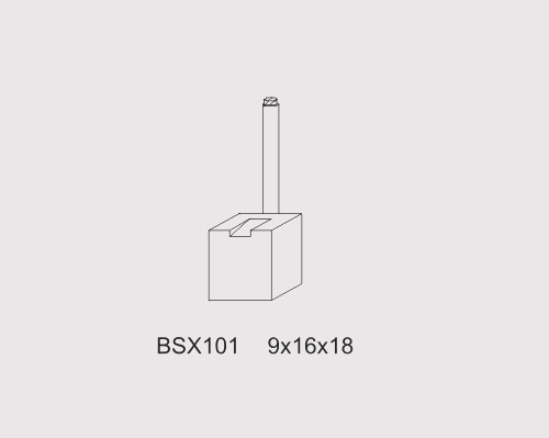 BSX101