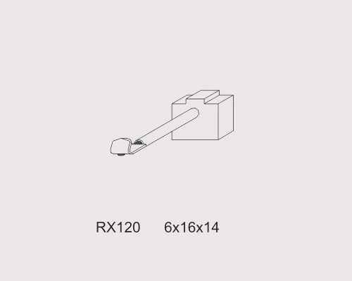 RX120